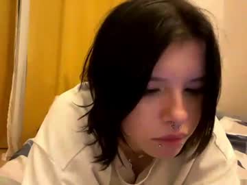 cuddly_kitten_