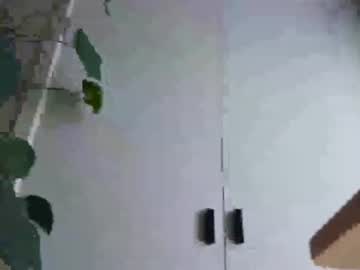 kylegifted