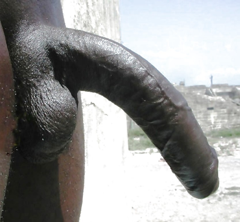 gay — 38